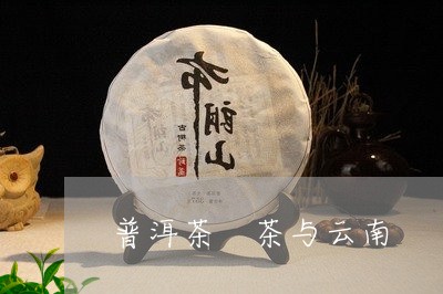 普洱茶 茶与云南/2023041239473